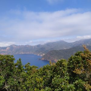 Panoranma wybrzeża Korsyki